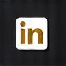 LinkedIn icon